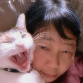 Profile Picture of Crystal Wang (@cocojohnny) on Instagram