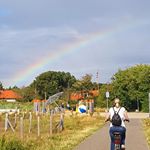 Profile Picture of Tamara Friedrich (@pinkrockcherry) on Instagram