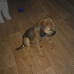 Profile Picture of Keith Dove (@keith.dove36) on Instagram