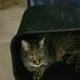 Profile Picture of Gilbert Patton (Pat) (@gilbert.patton.359) on Facebook