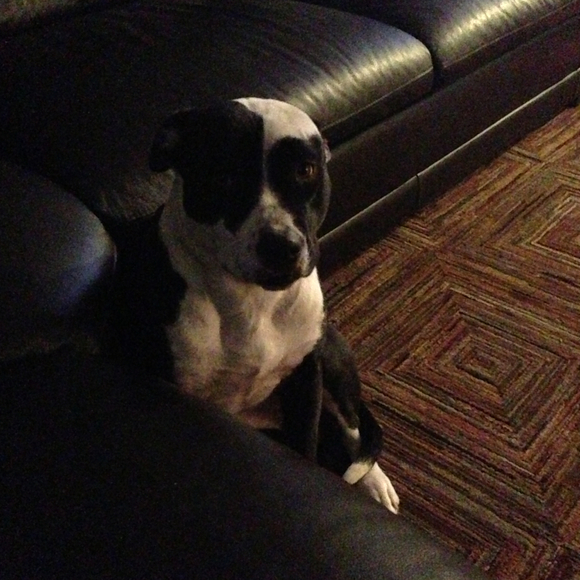 Profile Picture of Aimee Mullen (@aim21) on Poshmark