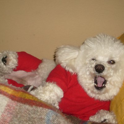 Profile Picture of Bel Escanes (@IsabelCullen) on Twitter