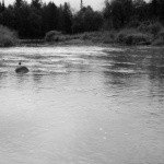 Profile Picture of bidirectional (@aimeerumple) on Instagram