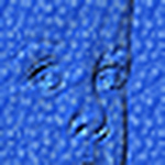 Profile Picture of Jessica the Cat's Son (@Jessica the Cat's Son) on Flickr