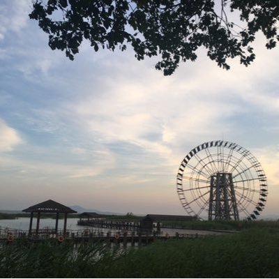 Profile Picture of Jessie Jin (@JessieJinrose) on Twitter