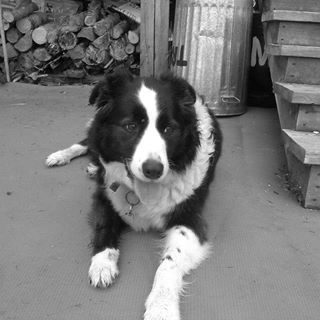 Profile Picture of Michael Cyr (@michael.cyr.77920) on Facebook