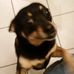 Profile Picture of Jesse Stevens (@jesse.stevens.3304673) on Facebook