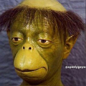 Profile Picture of Paul Hannemann (@paul_haxnx) on Tiktok