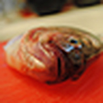 Profile Picture of Joshua Adams (@JoshTattu) on Flickr