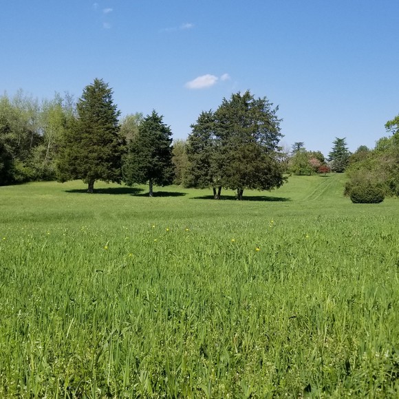 Profile Picture of Kellie Gadeken (@scififlamingo) on Poshmark