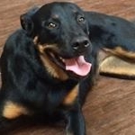 Profile Picture of Brad Wagoner (@xemit7) on Instagram