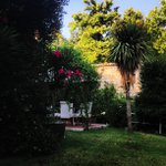 Profile Picture of Randy Dennis (@wackyridastacey) on Instagram