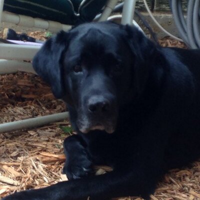 Profile Picture of Julie Bartolacci (@JulieBartolacci) on Twitter