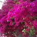Profile Picture of Shahrzad Najafi Tabrizi (@shahrzad.najafitabrizi) on Facebook