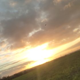 Profile Picture of Charline Muller (@charlinemuller607) on Pinterest