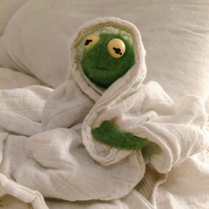 Profile Picture of 🐸 Kermit 🐸 (@kermit.the.frog.xo) on Tiktok