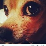 Profile Picture of Mandi Maynard Coury (@amandamcoury) on Instagram