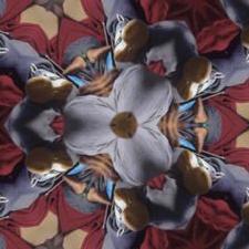 Profile Picture of rosa fuste (@rosaenlinea) on Twitter