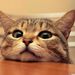Profile Picture of Jacob Rhodes (@jacob792004) on Pinterest