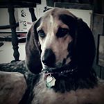 Profile Picture of Phyllis Byrd (@phyllis.byrd.55) on Instagram
