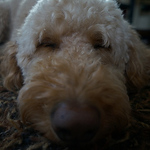 Profile Picture of Matt Puczko (@mjpuczko) on Flickr