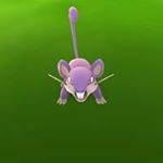 Profile Picture of Benjamin Schober (@benjamin_schober) on Instagram