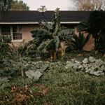 Profile Picture of Roots Homestead~~Travis Burns (@homesteadroots) on Instagram