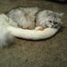 Profile Picture of Carol Yoder (@carol.yoder.14) on Facebook