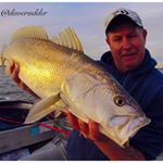 Profile Picture of David Rudder (@daverudder) on Instagram