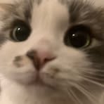 Profile Picture of Seth Hadley (@seth.hadley.728764) on Facebook