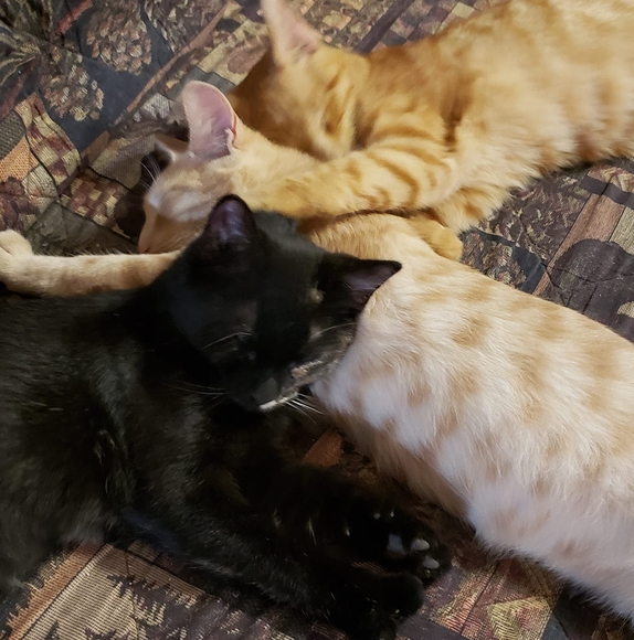 Profile Picture of Jennifer Rumrill (@jen2375) on Poshmark