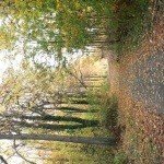 Profile Picture of Maennling (@alethiafng897) on Instagram