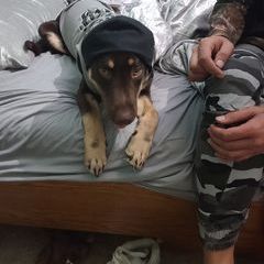 Profile Picture of Kevin Slyt (@kevinslyt3) on Tiktok