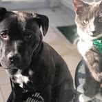 Profile Picture of Danny Kwok (@danny.kwok.509) on Facebook