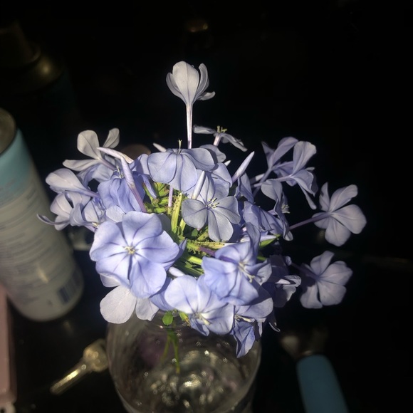 Profile Picture of Vianca Diaz (@vianca_13) on Poshmark