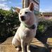 Profile Picture of Feng  Zheng (@feng.zheng.71) on Facebook