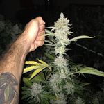 Profile Picture of Tube Rippin Jim (@masonjar_boys) on Instagram