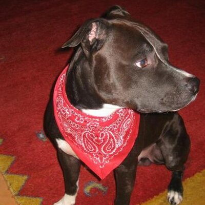 Profile Picture of Emina Basic (@emina1959) on Twitter