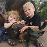 David Santillo - Instagram Profile Picture of David Santillo (@dsantillo) on Instagram