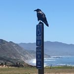 Profile Picture of Handicapped Bird (@huffle_puff1314) on Instagram