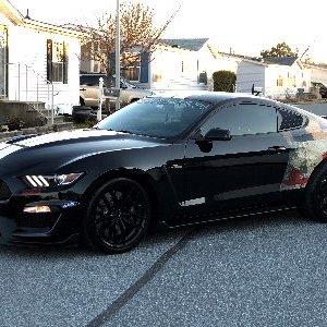 Profile Picture of PAUL EDWARD EVERHART JR (@PAULEDWARDEVER1) on Twitter