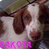 Profile Picture of andreashimek (@@andreashimek) on Tiktok