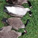 Profile Picture of Mathew Hendrickson (@mathew.hendrickson.612771) on Facebook