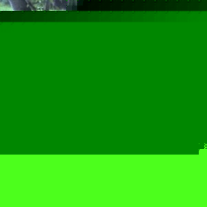 Profile Picture of Charles Turbeville (@303707388) on Myspace