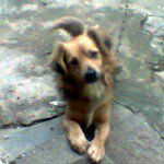 omar capellan beltran - Instagram Profile Picture of omar capellan beltran (@beltranomarcapellan) on Instagram