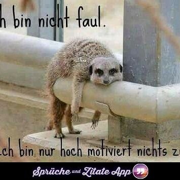 Profile Picture of Jenny Hat Euch Lieb (@EuchJenny) on Twitter