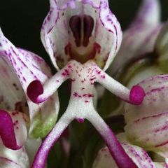 Profile Picture of Barry Peterson (@barry.peterson0) on Tiktok