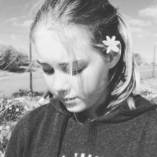 Profile Picture of Lara Collins (@laracollins1604) on Twitter