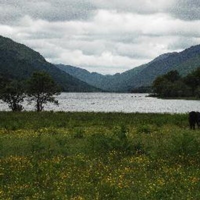 Profile Picture of Janette Marion Greer (@janette_greer) on Twitter