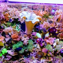 dareklamprecht - Tiktok Profile Picture of dareklamprecht (@dareklamprecht) on Tiktok